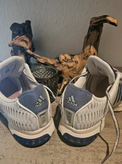 Adidas Climacool/ Gr.44 2/3 / Top Zustand