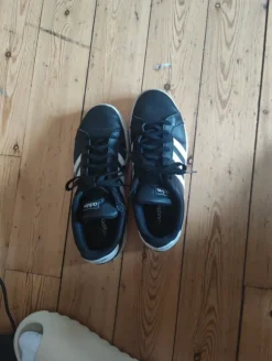 Adidas shoed