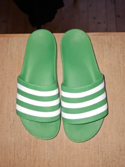Adiletten in grün
