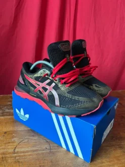 Asics gel nimbus 21
