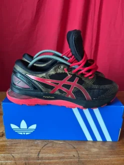 Asics gel nimbus 21