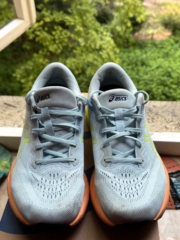 Asics Gel Pulse 15 Herren 42,5