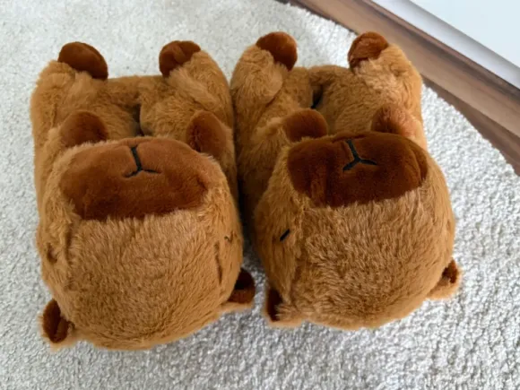 Capybara Hausschuhe