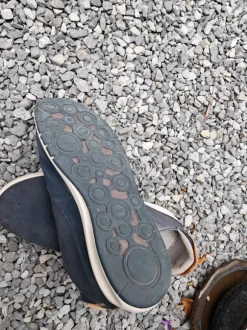 Chaussures Geox homme