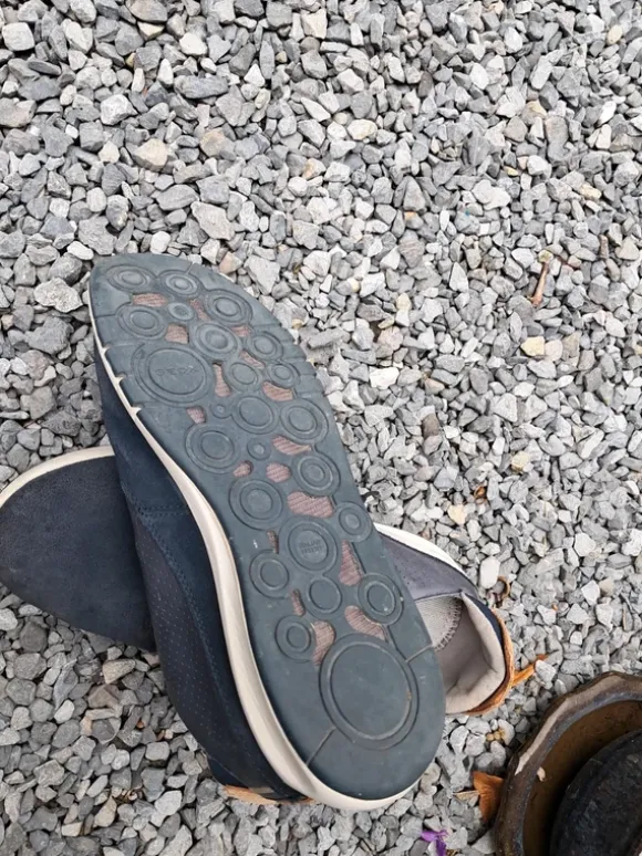 Chaussures Geox homme