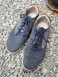 Chaussures Geox homme