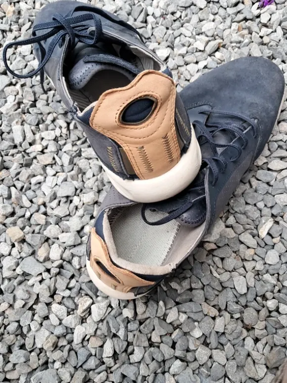 Chaussures Geox homme
