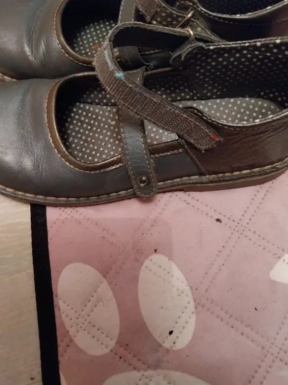 Derbies