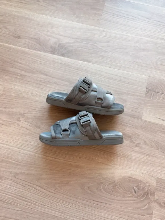 Draco slides