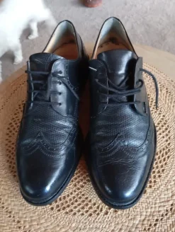Elegante Gallus Herrenschuhe in Schwarz, Größe UK 9,5 (ca. EU 43–44)