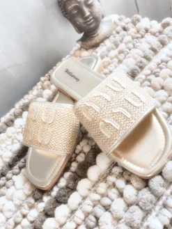Flip-Flops