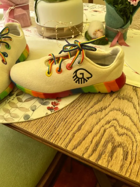 Gieswein Schuhe
