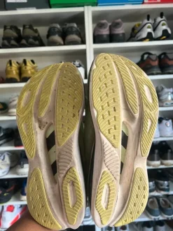 Hoka Skyward X