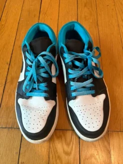 Jordan Air 1 Dunk Low