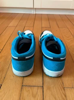 Jordan Air 1 Dunk Low