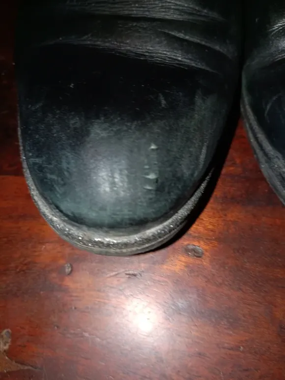 ladies shoes
