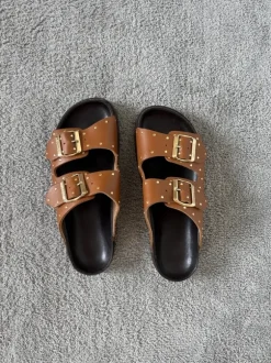 Mules Scholl