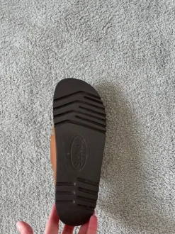 Mules Scholl