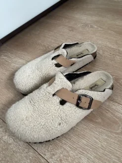Mules Scholl