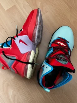 Nike Lebron 19 XIX bunt 44.5
