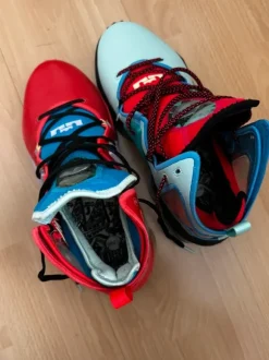 Nike Lebron 19 XIX bunt 44.5