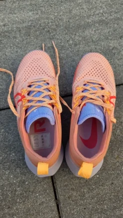 Nike Pagasus Trail Schuhe Gr. 36,5