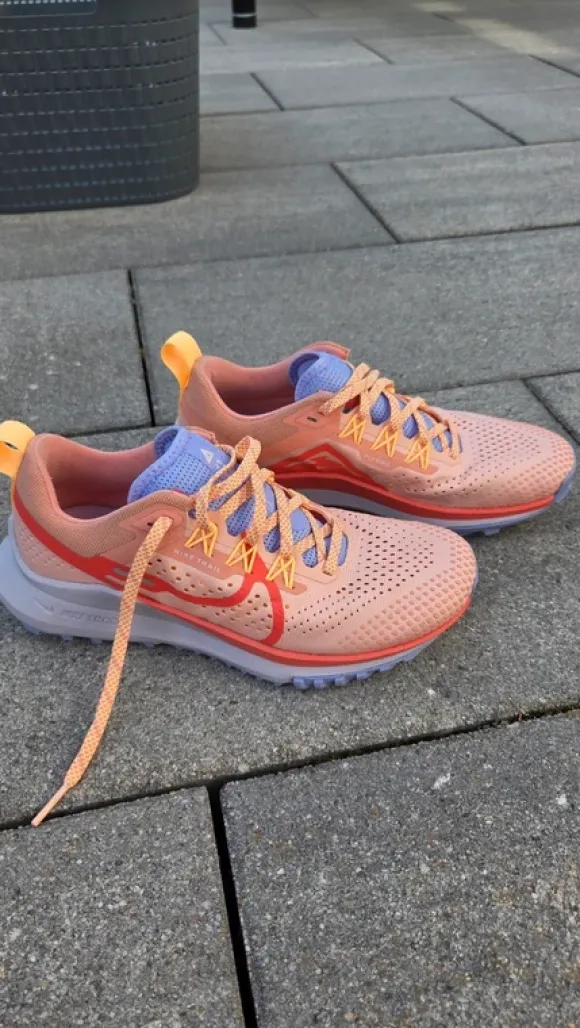 Nike Pagasus Trail Schuhe Gr. 36,5