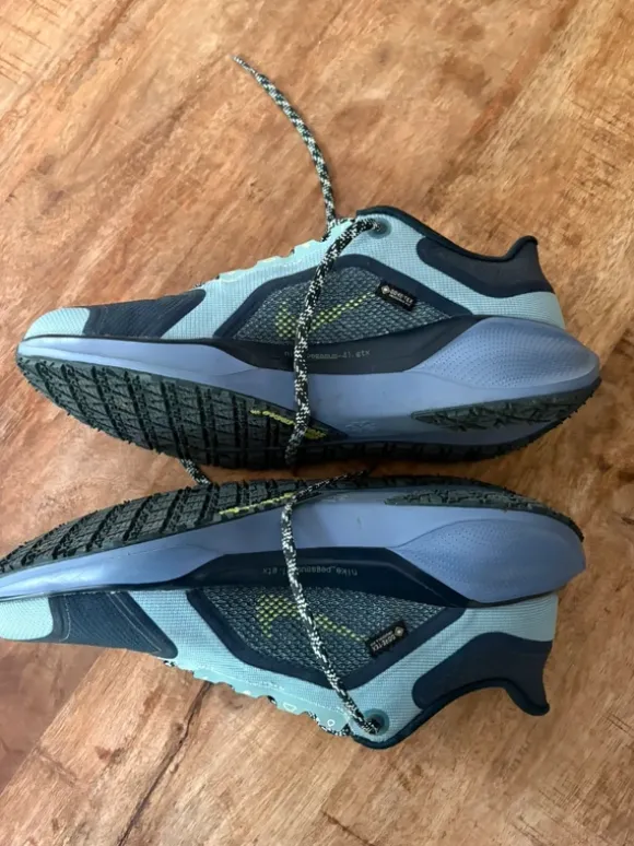 Nike pegasus 41 gtx