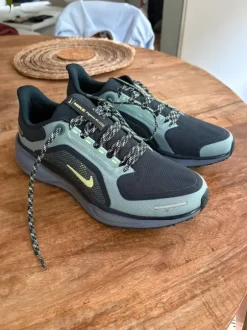 Nike pegasus 41 gtx