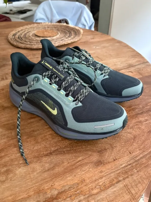 Nike pegasus 41 gtx