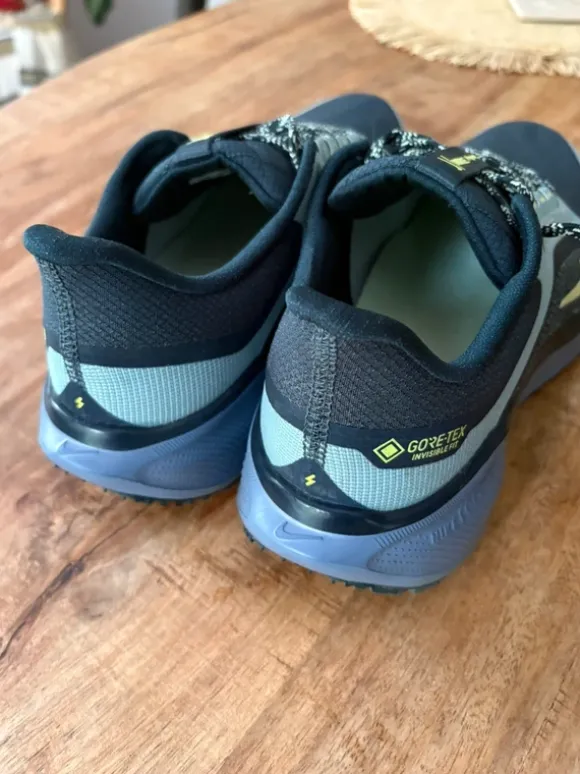 Nike pegasus 41 gtx