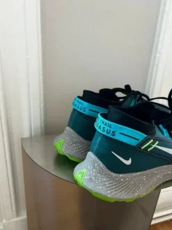 Nike Pegasus Trail 2 Größe 44