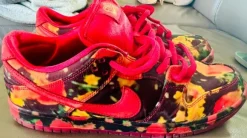 Nike SB Dunk Wizard of Oz Gr.44,5 guter Zustand