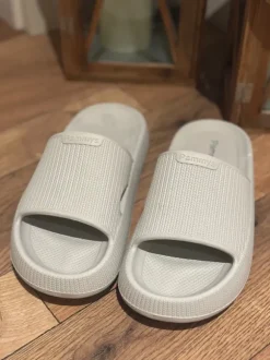 Pammys