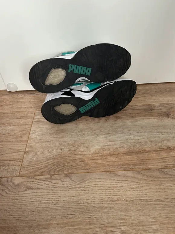 Pumas