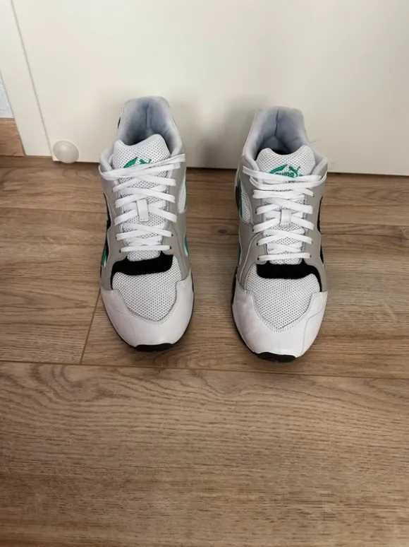 Pumas
