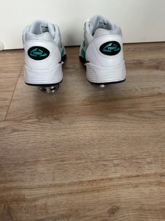 Pumas