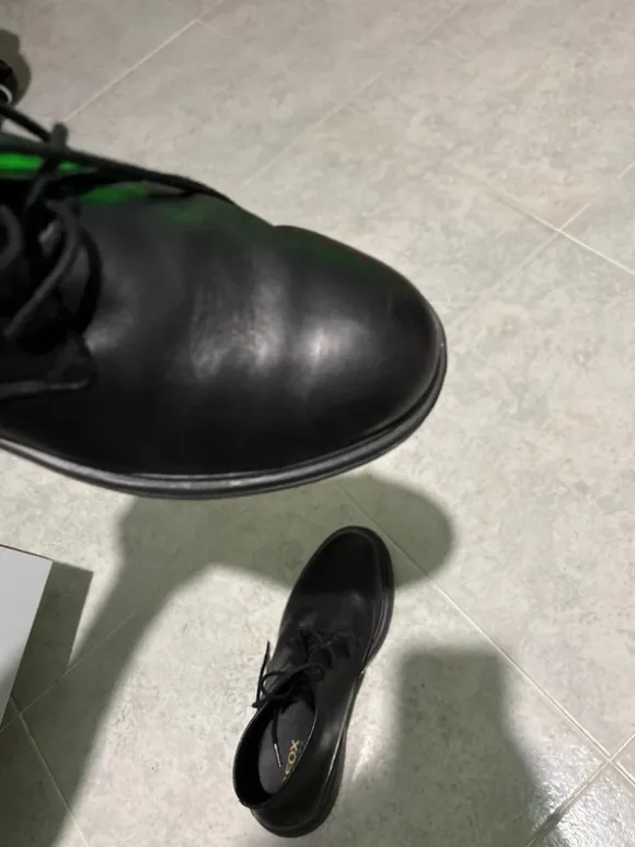 Scarpe eleganti Geox
