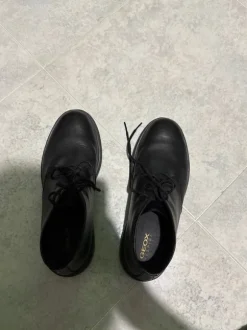 Scarpe eleganti Geox