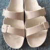 Scholl