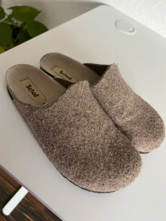 Scholl 39