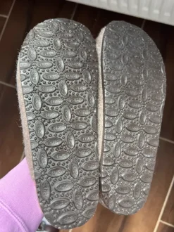 Scholl 39