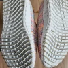 Schuhe Elefanten Glitzer Gr. 29