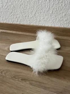 Slides