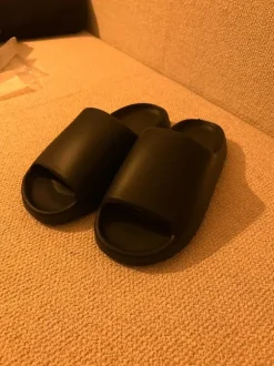 Slides Schwarz