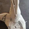 Stiefelette mit Spitze