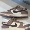 The Nike Dunk Low Sail Beige Brown
