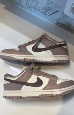 The Nike Dunk Low Sail Beige Brown