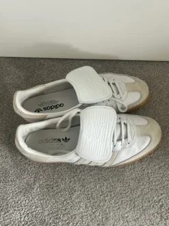 Virale adidas samba