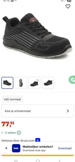 Werkschoenen